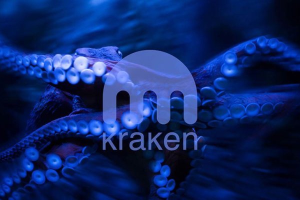 Kraken как найти ссылку