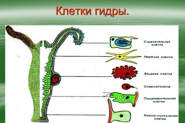 Кракен маркет даркнет только через тор скачать