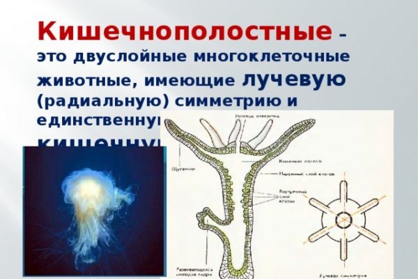 Кракен сыл ссылка